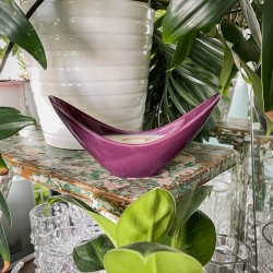 BURBON, WANILIA I ORZECHY -...