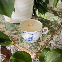 AMBRA I MECH DĘBOWY - ŚWIECA SOJOWA