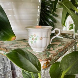 DRZEWO SANDAŁOWE - ŚWIECA...