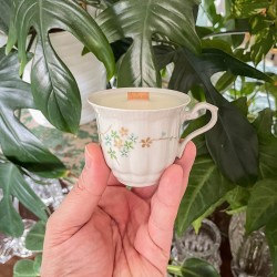 DRZEWO SANDAŁOWE - ŚWIECA SOJOWA