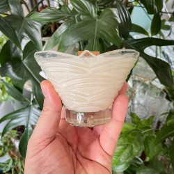 PALO SANTO - ŚWIECA SOJOWA