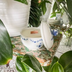 WANILIA Z PIEPRZEM - ŚWIECA...