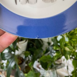 KINKY PLATE - RIVALS - OPCJE DO WYBORU