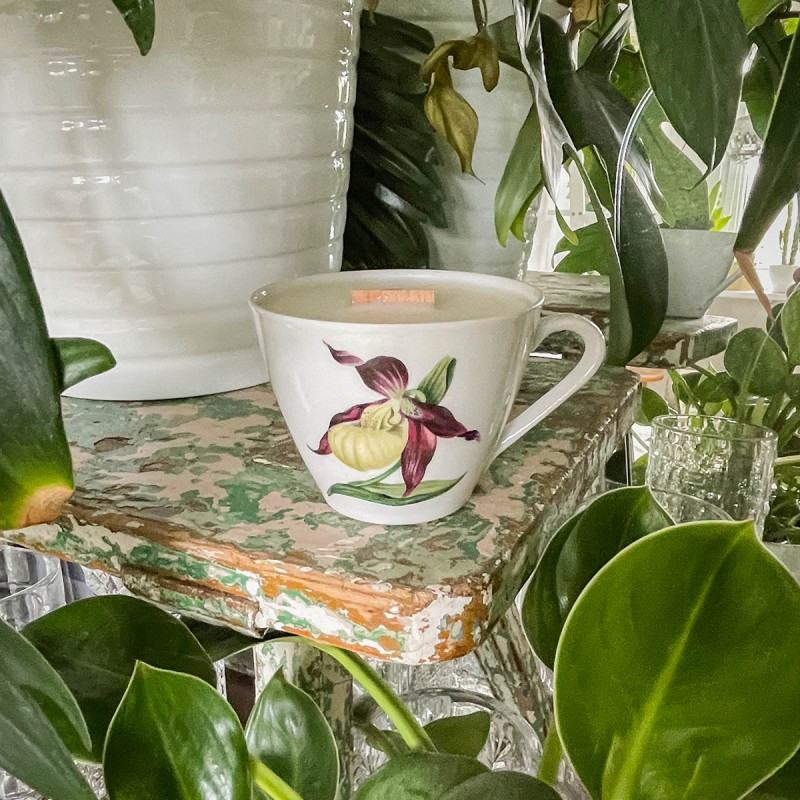 AMBRA Z FIGĄ - ŚWIECA SOJOWA