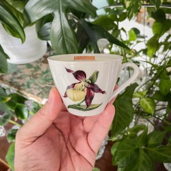 AMBRA Z FIGĄ - ŚWIECA SOJOWA