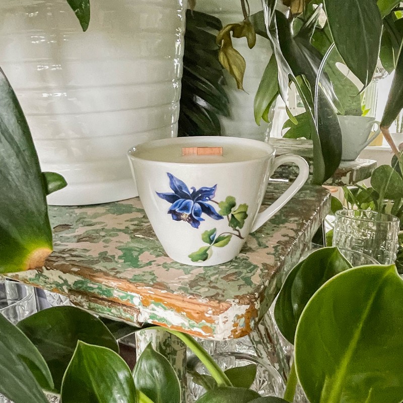 AMBRA Z FIGĄ - ŚWIECA SOJOWA