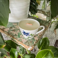 AMBRA Z FIGĄ - ŚWIECA SOJOWA