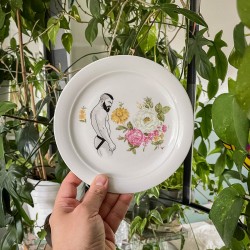 KINKY PLATE - BEARDED MAN