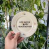 KINKY PLATE - LIFE SUCKS